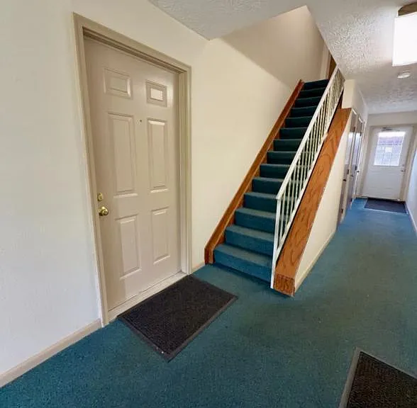 3718 Indian Run Dr — Photo 2