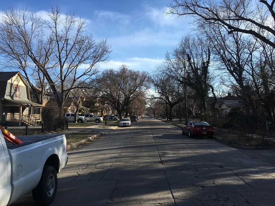Tree Lined Street