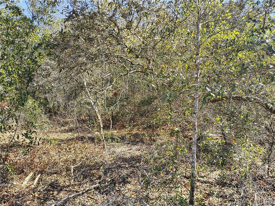1st image of 8867 N Citrus Springs Blvd