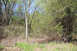 4th image of 0 Highway 62 E