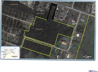 133 Trade Rd, Cheraw, SC 29520