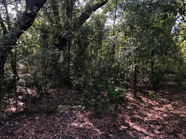 0 Co Rd 54, Kathleen, FL 33849