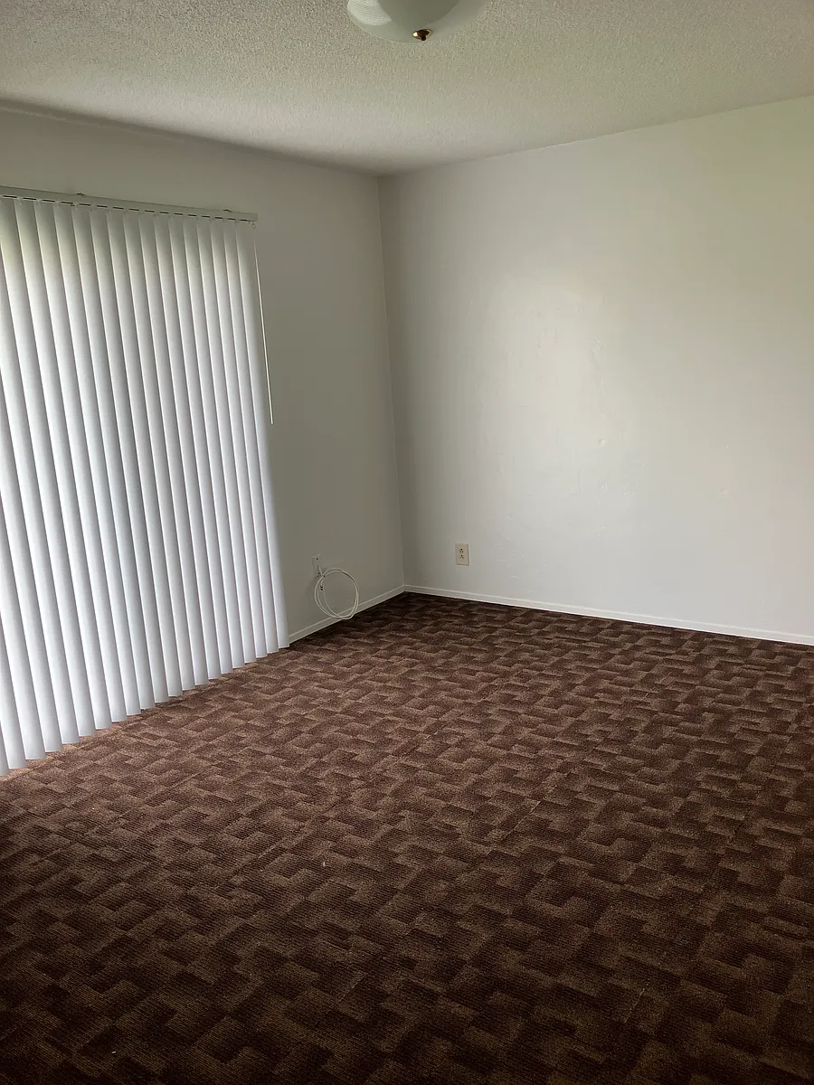 Building Photo - 532 Olive St #528