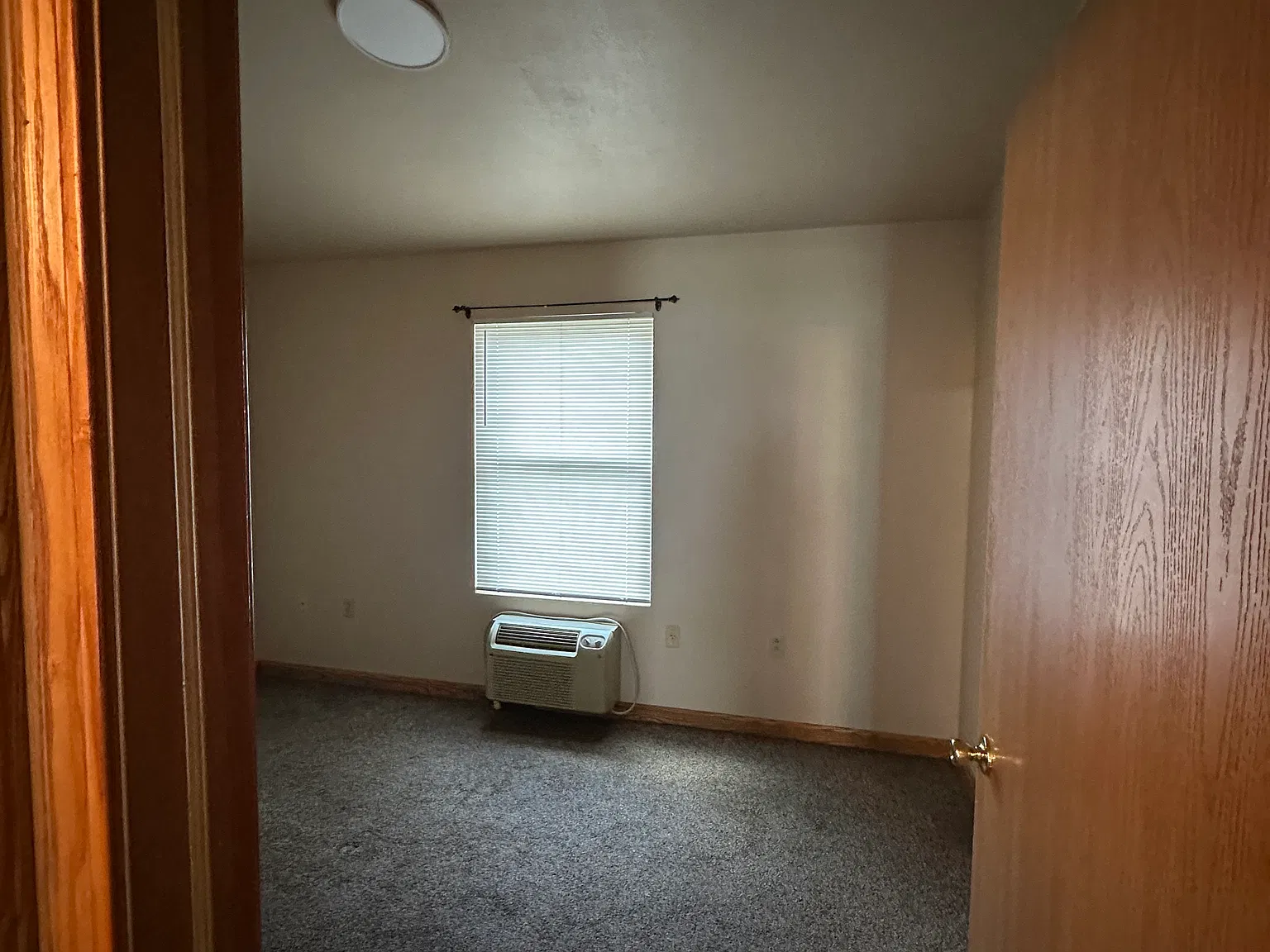 1 bed, $780 — Photo 3