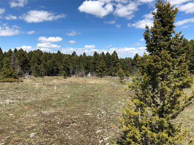 Arrowood Estates Rd, Raynesford, MT, 59469
