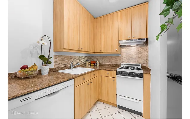 Rented by Douglas Elliman | media 4