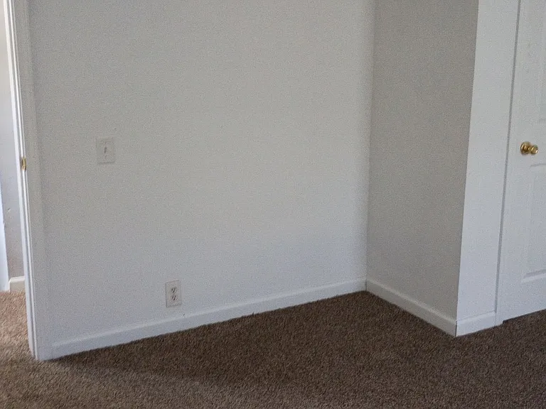 308 Wilson St — Photo 18