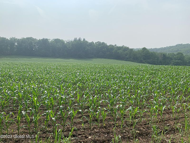 3rd image of L14.3 Cottrell Road
