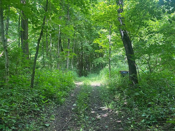 4th image of 4474 County Road 10