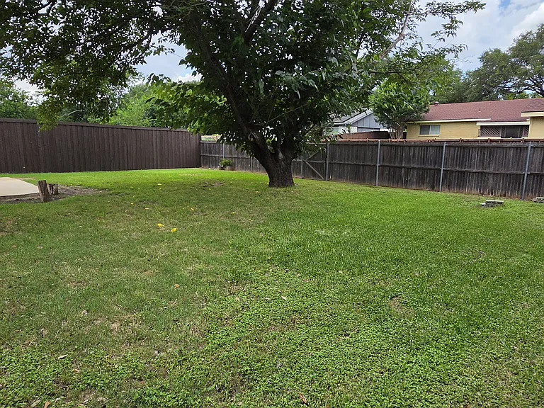 1129 Pioneer Ln — Photo 11