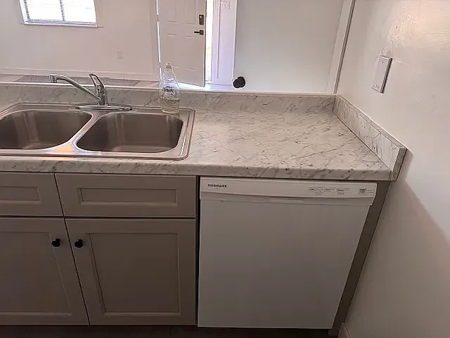 Dishwasher and Sink