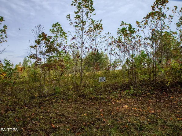 LOT 25 Zenith Rd, Allardt, TN 38504