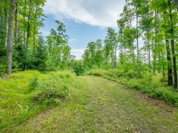 5485 Lily Pad Ln, Long Lake, WI 54542