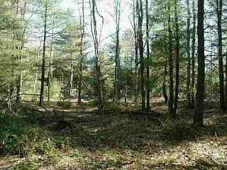 2nd image of 231 French Clearing Rd