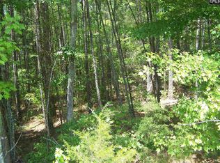 1111 Countryside Dr, Blackstock, SC 29014