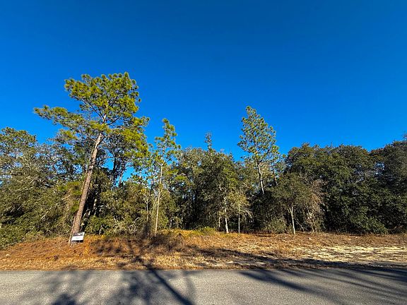 4th image of Tbd Lot 35 SW Lobelia Court
