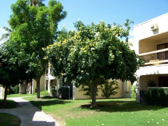 Building View