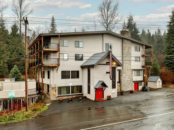 87557 E Government Camp Loop #204, Government Camp, OR 97028