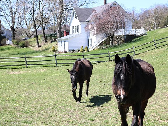 horses as your neighbors - boarding available