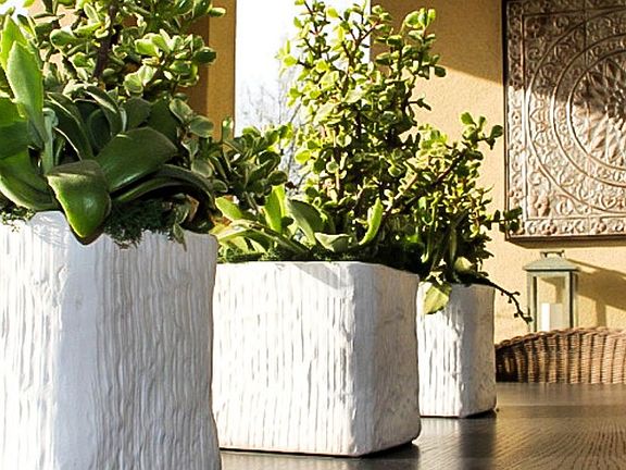 Cortesa Plan 3 Model