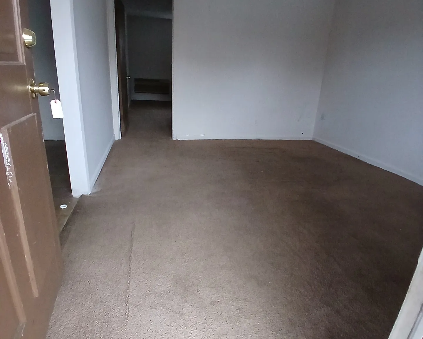 1 bed, $700 — Photo 3