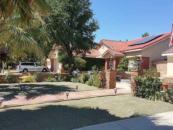 After Drought landscaping 