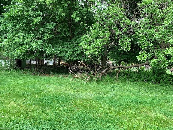 4th image of 28374 Nandina Dr