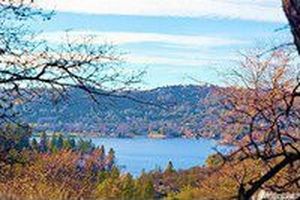 17756 Minnow Way, Penn Valley, CA, 95946