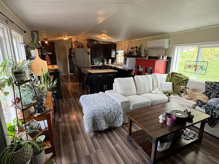 310 Ulrich St — Photo 11