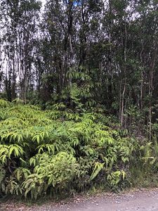 Kokokahi Rd, Volcano, HI, 96785