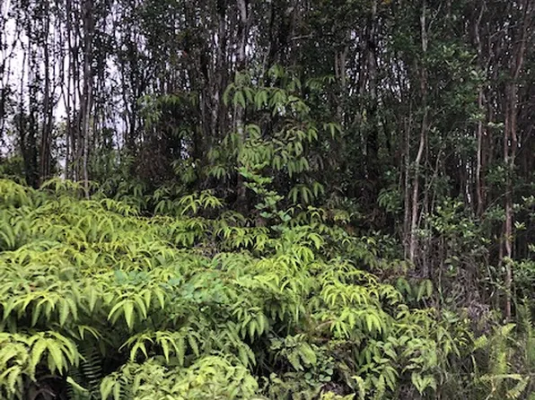 Kokokahi Rd Lot 75, Volcano, HI 96785
