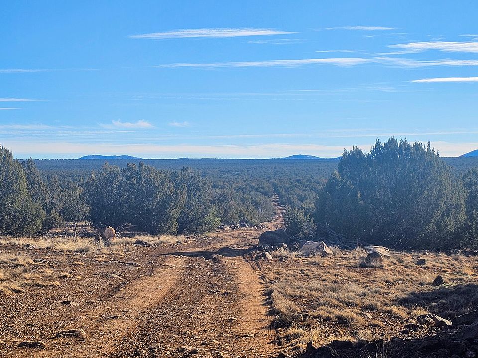 1st image of Coral Rd