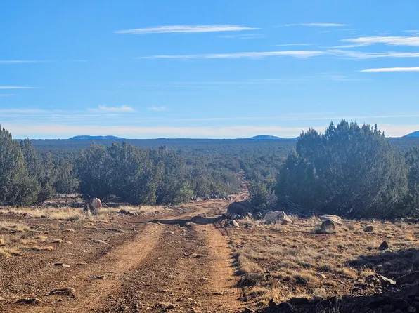 Coral Rd, Show Low, AZ 85901