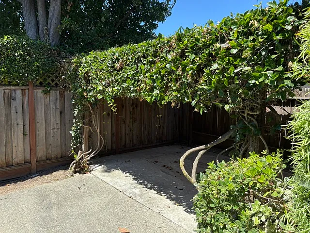 1339 California Dr — Photo 3
