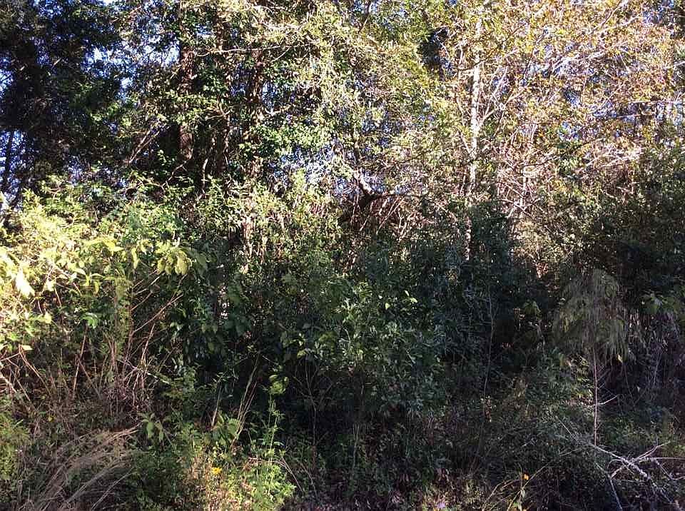 2nd image of County Road 404