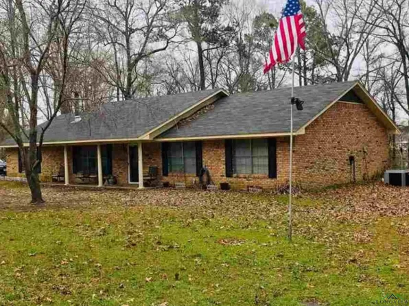 1586 Handy Rd, Diana, TX 75640