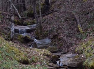 462 Little Pigeon Rd, Procious, WV 25164