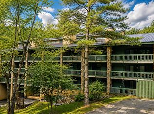 1435 Wiley Oakley Dr #167, Gatlinburg, TN 37738