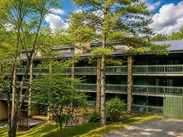 1435 Wiley Oakley Dr #167, Gatlinburg, TN 37738