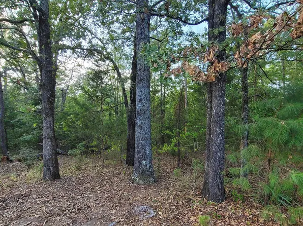 139 Natches Ln, Royal, AR 71968