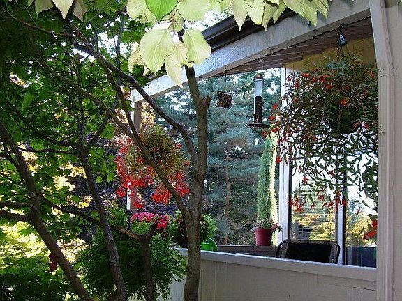 Private Patio