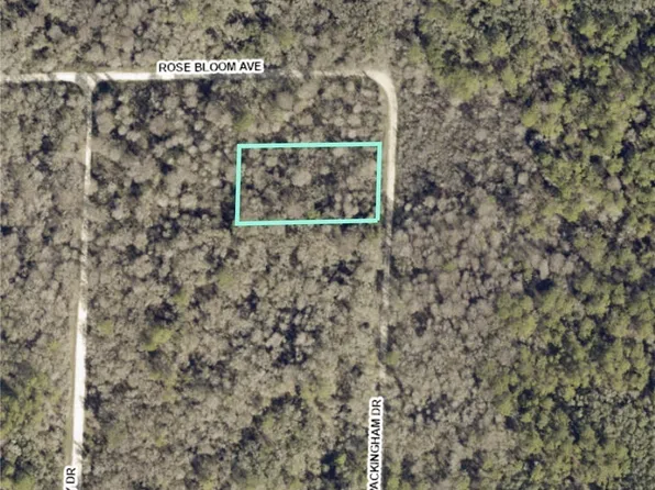 8009 Packingham Dr, Webster, FL 33597