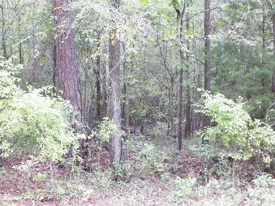 1st image of 12000 State Highway 323 W