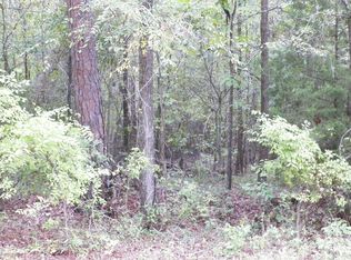 12000 State Highway 323 W, Overton, TX 75684