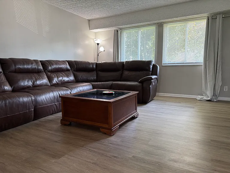 New sectional leather couch in Family Room