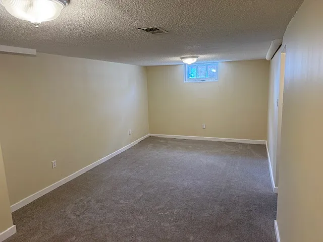 115 Chicago Ave N — Photo 10