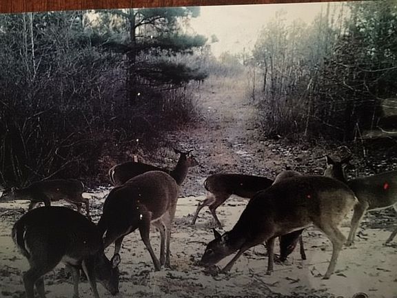 3rd image of 960 Highway 6 E