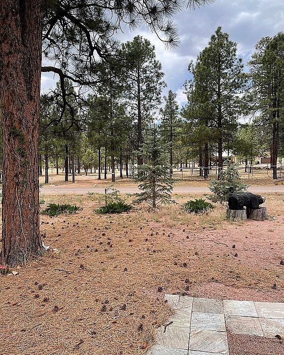 2nd image of 2843 Pine Rim Rd