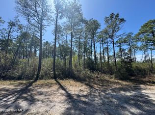 Lot 490 Craven Street, Boiling Spring Lakes, NC 28461