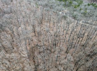 0 Clearview Dr, Talking Rock, GA 30175